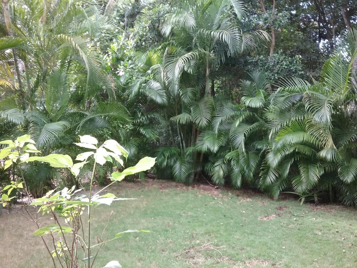 Bed and breakfast Casa Rioja Playacar